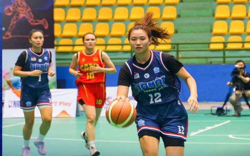bong ro nu va hanh trinh phat trien va suc hut cua nhung bong hong san go