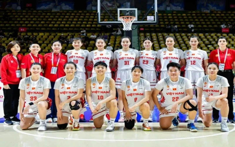 bong ro nu va hanh trinh phat trien va suc hut cua nhung bong hong san go