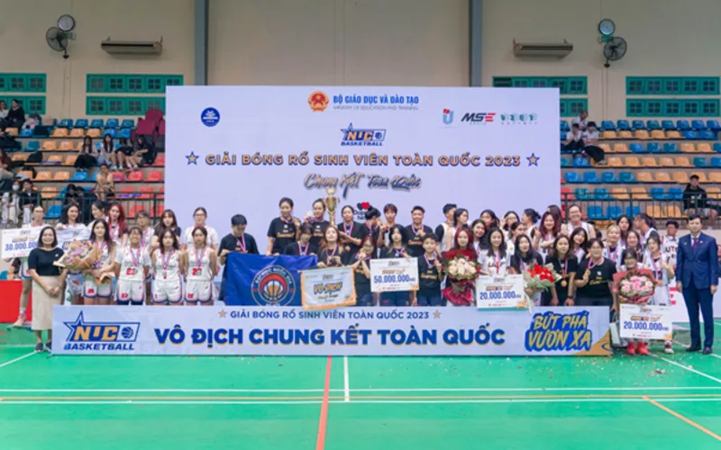 bong ro nu va hanh trinh phat trien va suc hut cua nhung bong hong san go